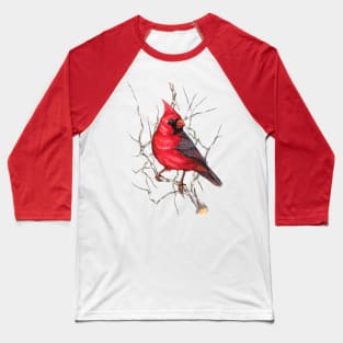 Northern Cardinal Baseball T-Shirt